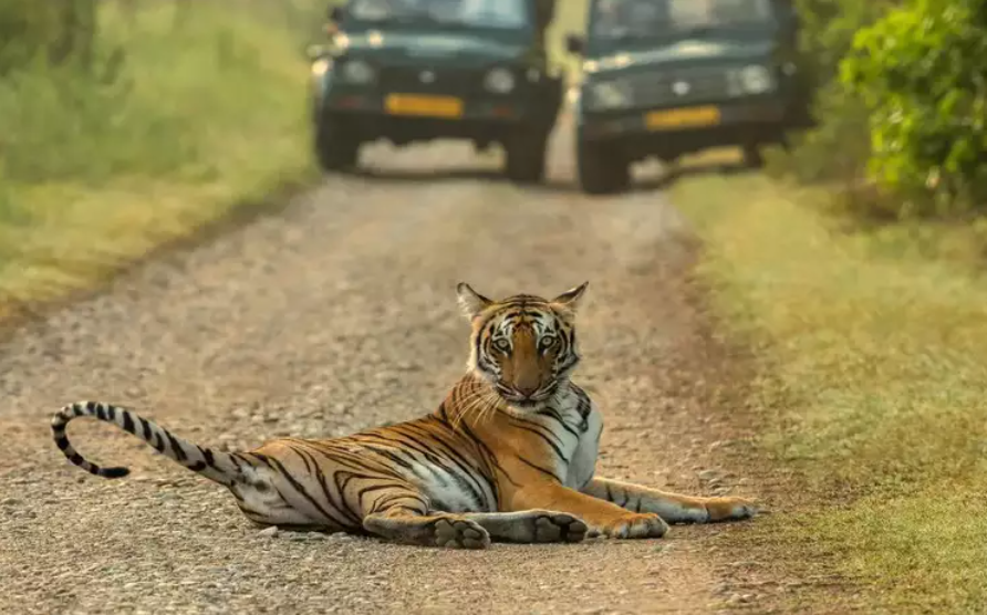 Dhikala-Jim-Corbett